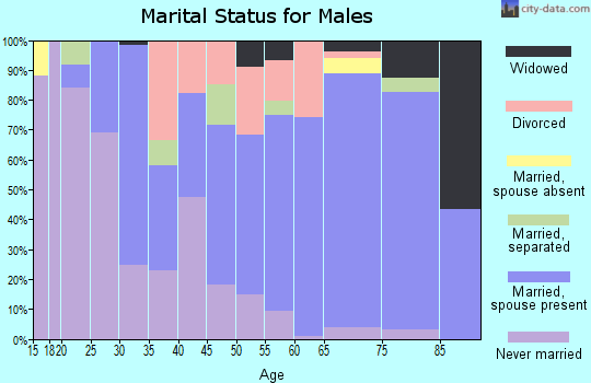 Zip code 23117 marital status for males