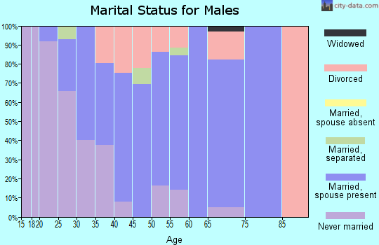 Zip code 23141 marital status for males