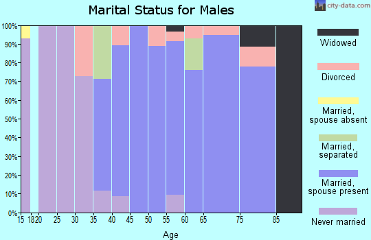 Zip code 23146 marital status for males