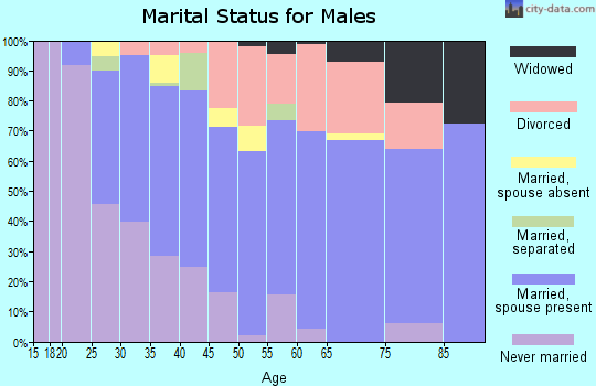 Zip code 23150 marital status