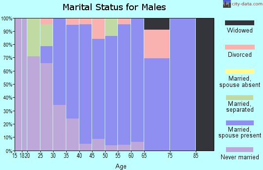 Zip code 23168 marital status for males