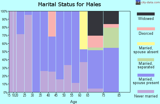 Zip code 23175 marital status for males