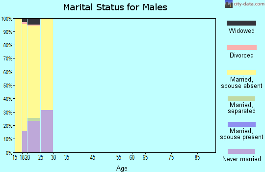 Zip code 23186 marital status for males