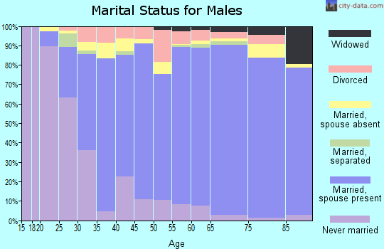 Zip code 23188 marital status for males