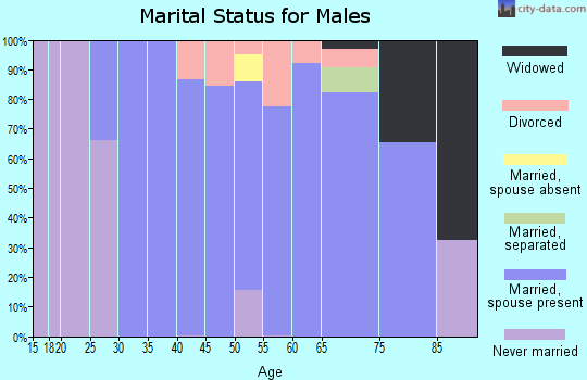 Zip code 23192 marital status for males