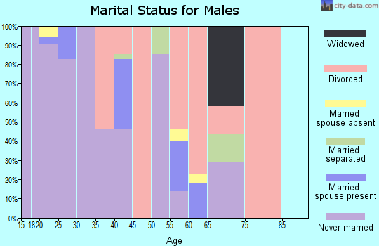Zip code 23219 marital status for males