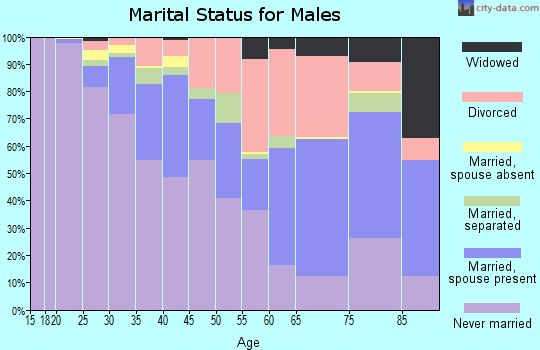 Zip code 23220 marital status for males