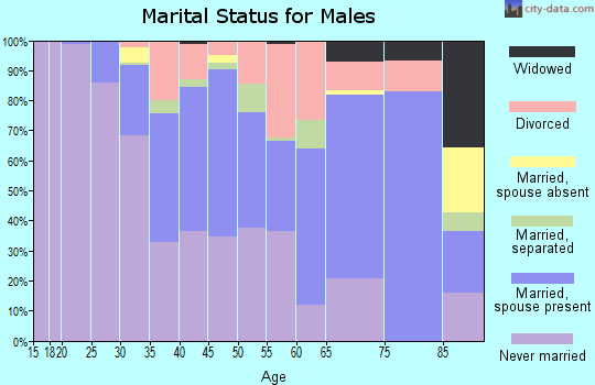 Zip code 23221 marital status for males