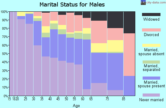 Zip code 23223 marital status for males