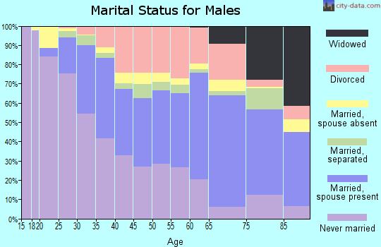 Zip code 23225 marital status for males