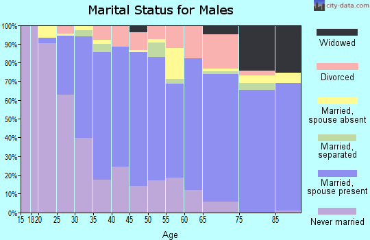 Zip code 23226 marital status for males