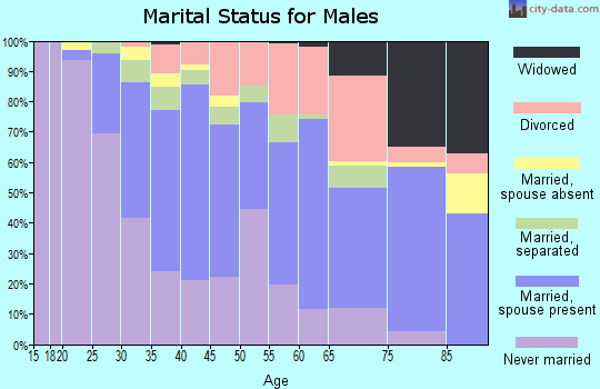 Zip code 23227 marital status for males