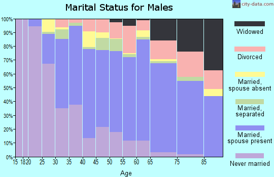 Zip code 23231 marital status for males