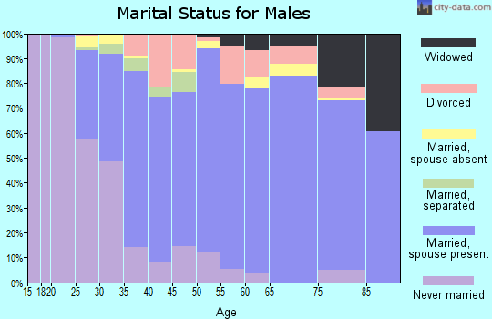 Zip code 23236 marital status for males
