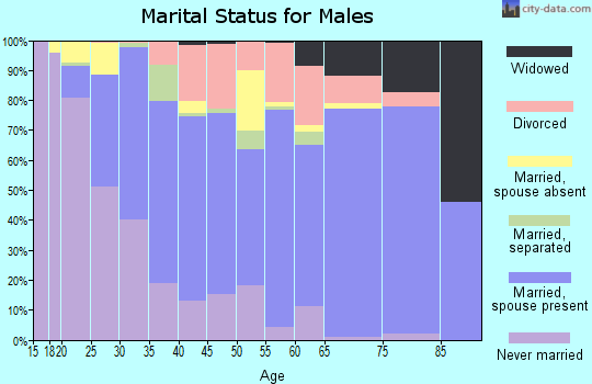 Zip code 23237 marital status for males