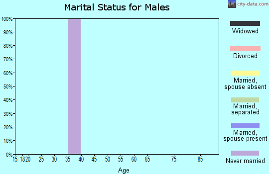 Zip code 23302 marital status for males