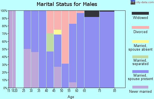 Zip code 23306 marital status for males