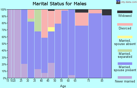 Zip code 23308 marital status for males