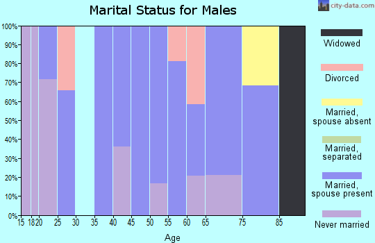 Zip code 23315 marital status for males