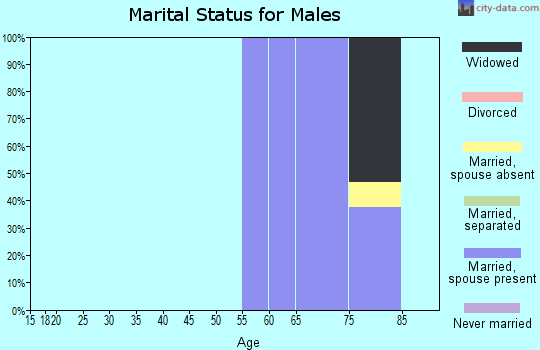 Zip code 23316 marital status for males