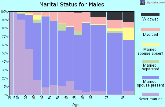 Zip code 23320 marital status for males