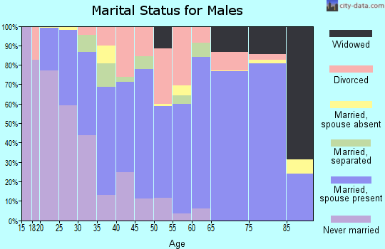 Zip code 23325 marital status for males