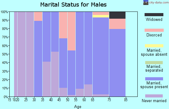 Zip code 23336 marital status for males