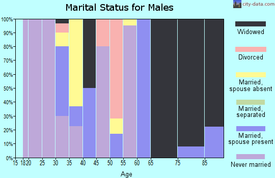 Zip code 23347 marital status for males