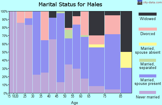 Zip code 23350 marital status for males