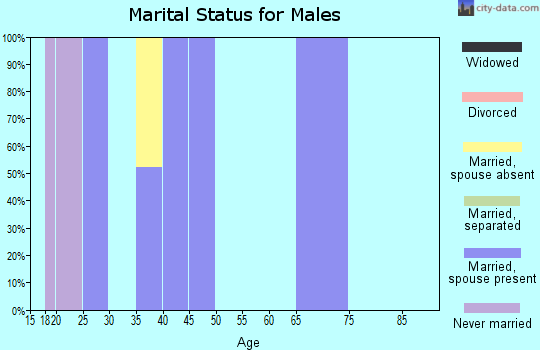 Zip code 23354 marital status for males