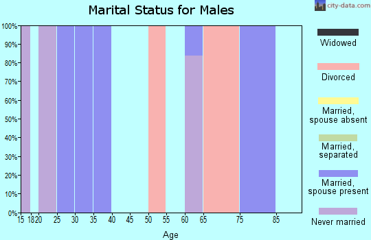 Zip code 23357 marital status for males