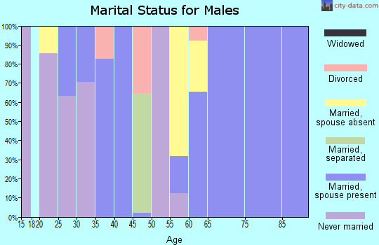 Zip code 23359 marital status for males