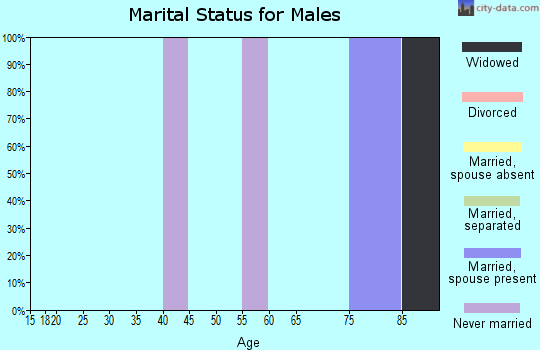 Zip code 23395 marital status for males
