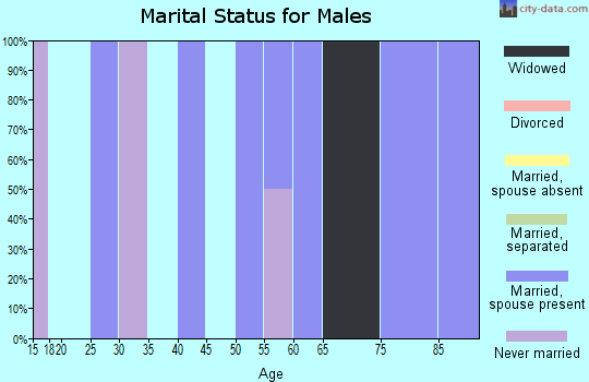 Zip code 23401 marital status for males