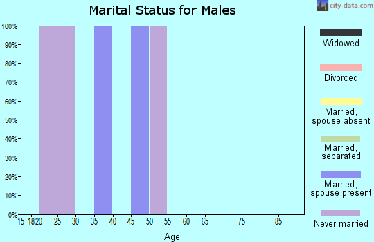 Zip code 23407 marital status for males