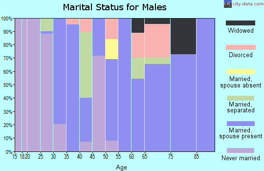 Zip code 23410 marital status for males