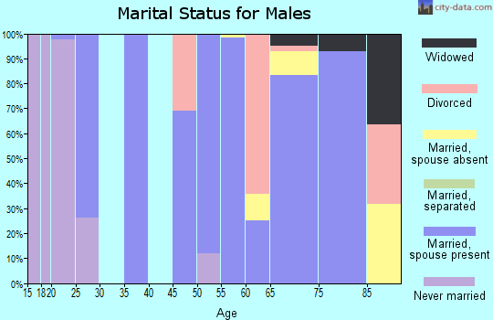 Zip code 23413 marital status for males