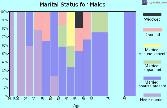 Zip code 23415 marital status for males