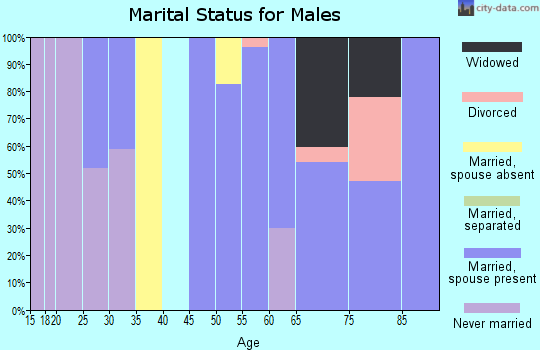 Zip code 23418 marital status for males