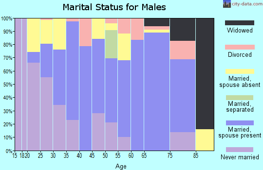 Zip code 23421 marital status for males