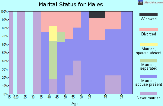 Zip code 23427 marital status for males
