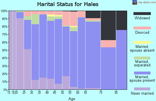 Zip code 23430 marital status for males