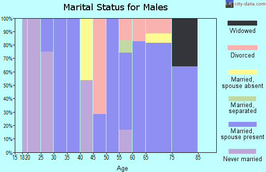 Zip code 23433 marital status for males