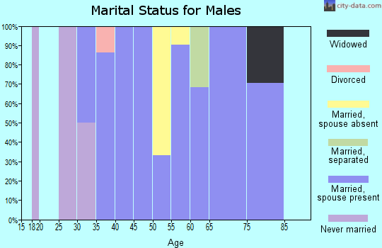 Zip code 23436 marital status for males