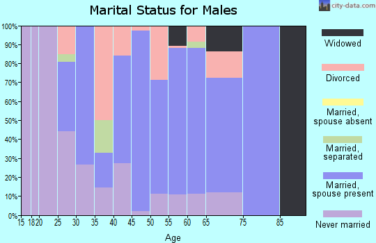 Zip code 23437 marital status for males