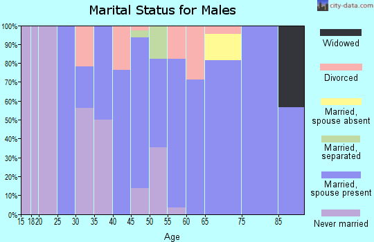 Zip code 23438 marital status for males