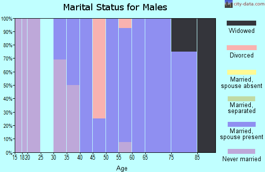 Zip code 23440 marital status for males