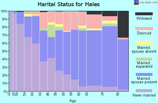 Zip code 23451 marital status for males