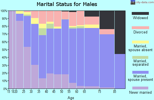 Zip code 23455 marital status for males
