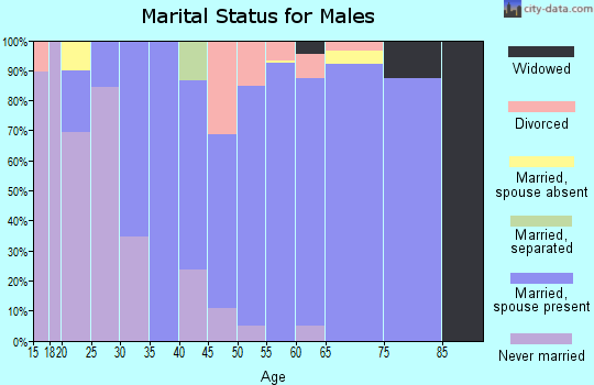Zip code 23457 marital status for males